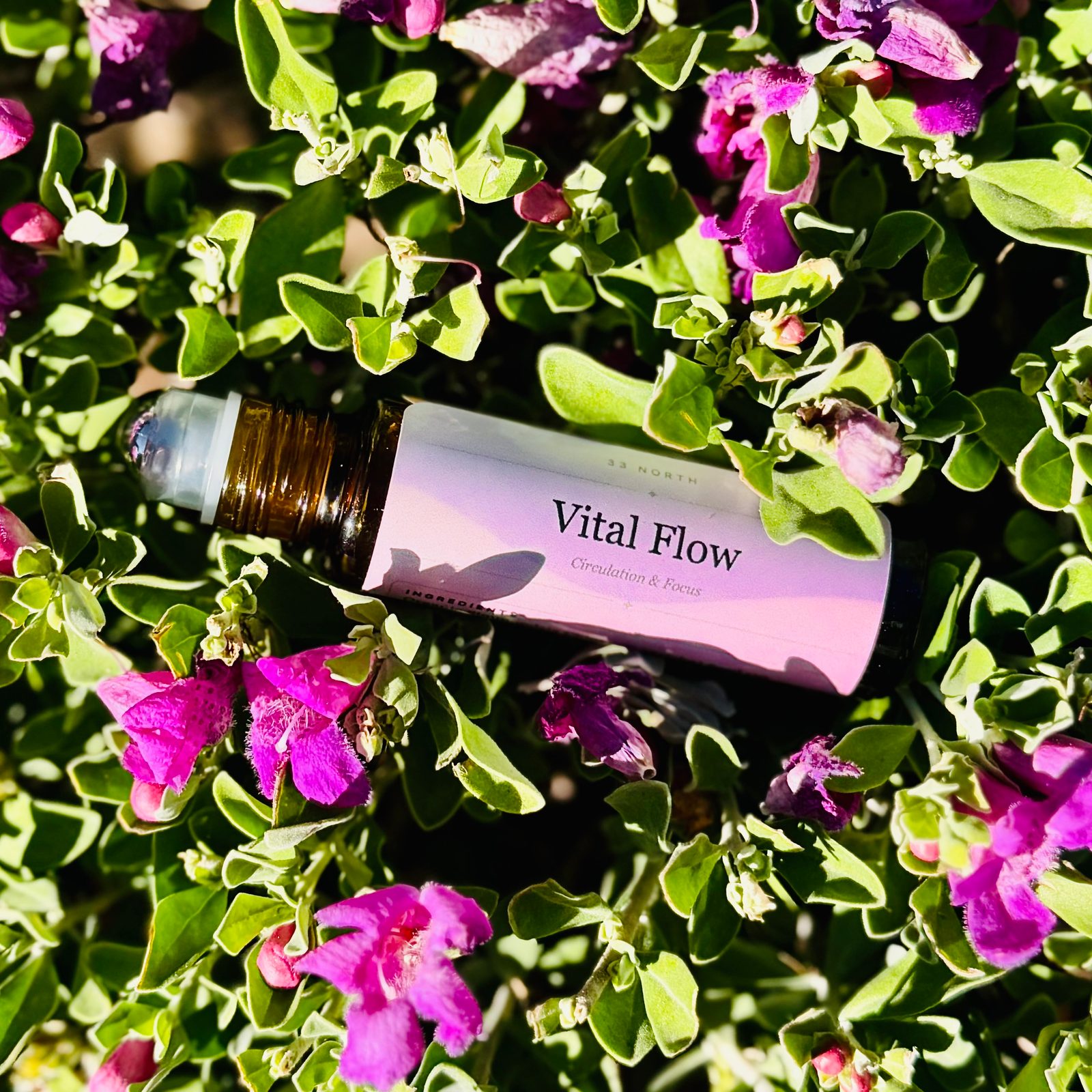 Vital Flow