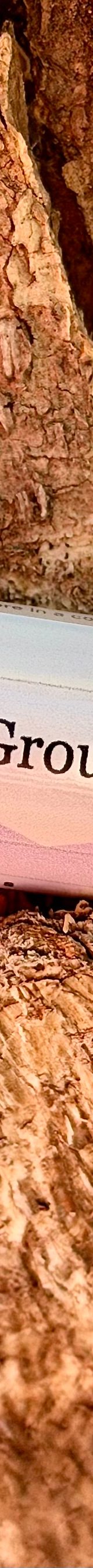 Ground & Glow