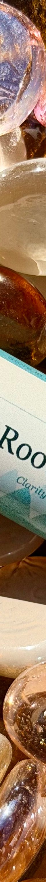Root & Rise