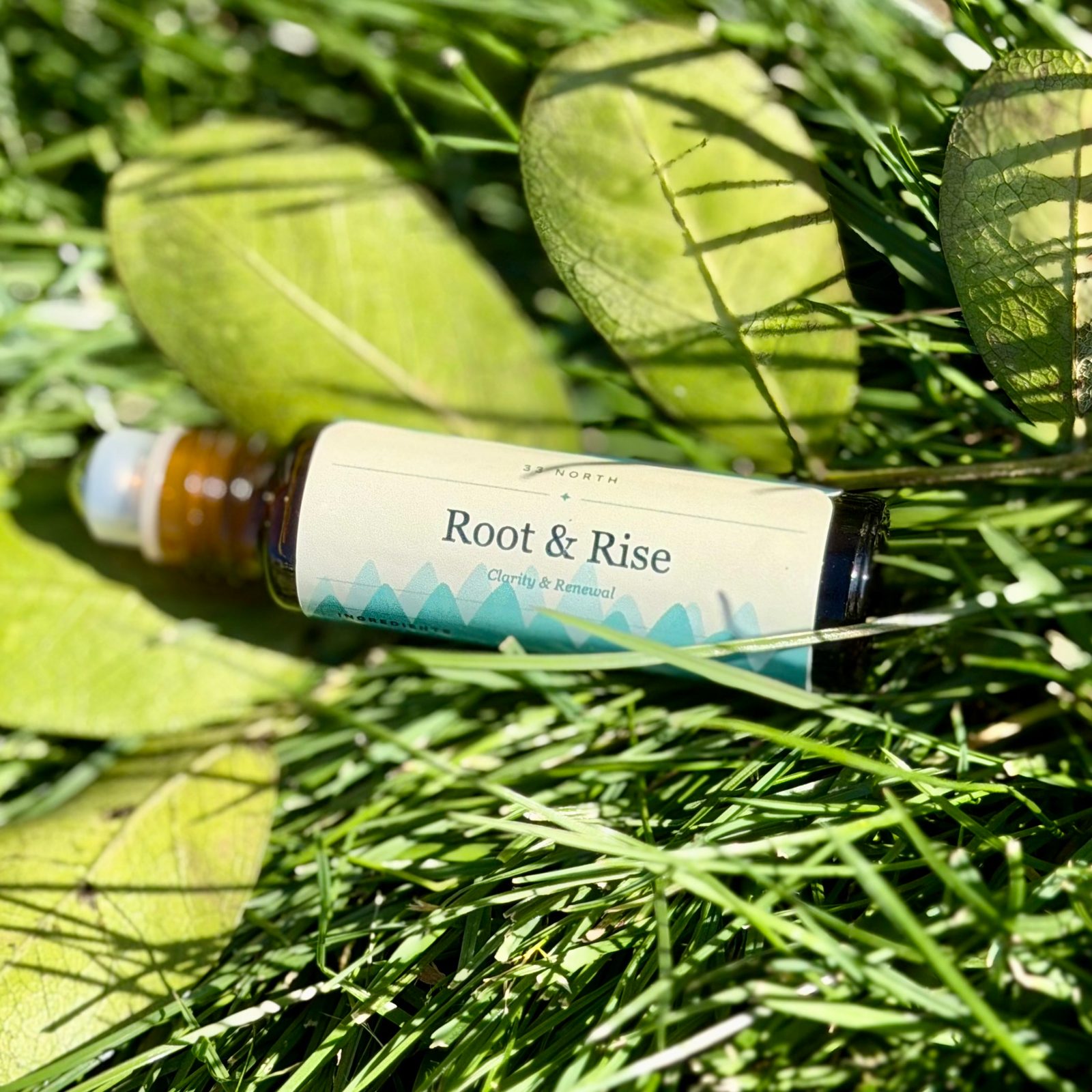 Root & Rise