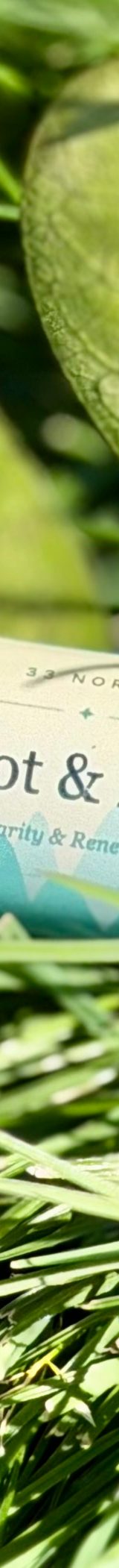 Root & Rise