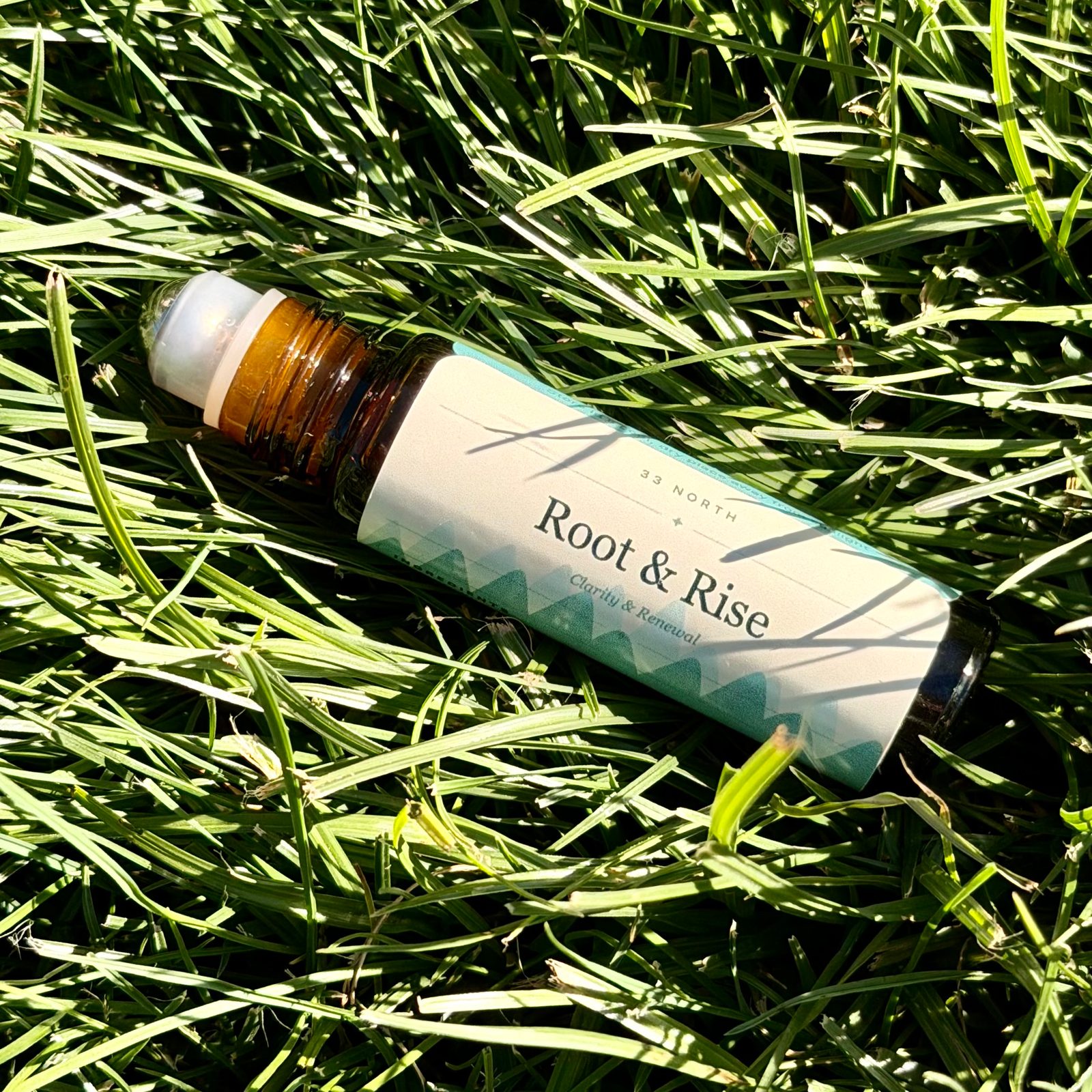 Root & Rise
